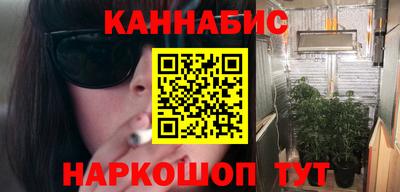 СК Бердск