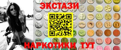 СК Бердск