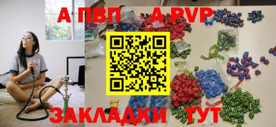 СК Бердск