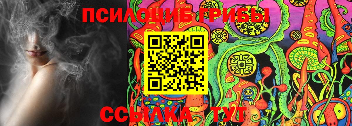 Галлюциногенные грибы Cubensis Коряжма